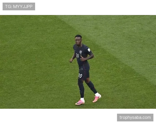 比利时4-1淘汰美国:欧洲劲旅状态回暖 比利时4-1淘汰美国:欧洲劲旅状态回暖
